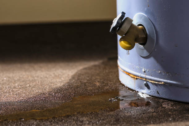 Best Sewage cleanup and water damage restoration  in Westchester, IL