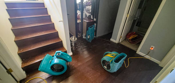 Reliable Westchester, IL Water damage restoration Solutions