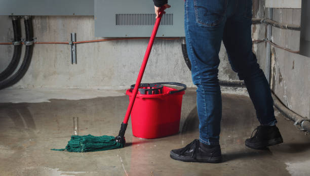 Best Water damage restoration cost  in Westchester, IL