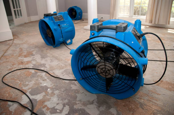 Best Fire Damage Restoration  in Westchester, IL