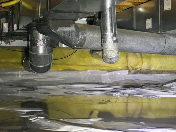 Best Water damage restoration mold remediation  in Westchester, IL