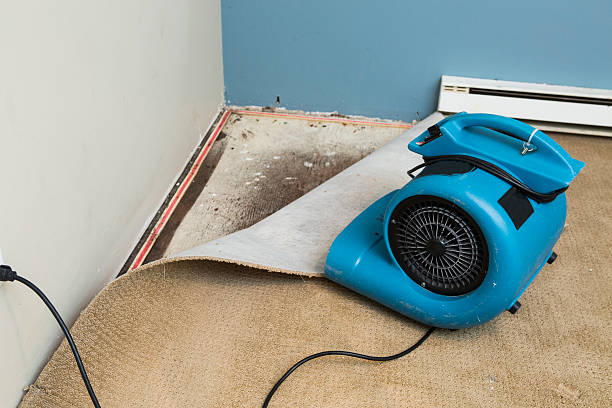 Best Residential water damage restoration  in Westchester, IL