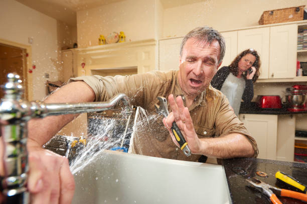 Best Flood restoration services  in Westchester, IL
